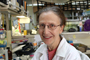 La doctora Yvonne Rosenstein en el laboratorio del Departamento de Medicina Molecular y Bioprocesos, Instituto de Biotecnología de la UNAM.