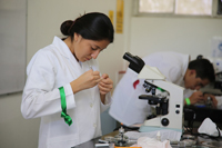 Los exámenes prácticos tuvieron lugar en los laboratorios de la Facultad de Ciencias Químico Biológicas, campus I de la Universidad Autónoma de Campeche.