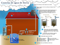 En la ciudad de México más del 65% de las casas tienen los elementos esenciales para instalar el sistema de cosecha de agua de lluvia: una cisterna, una bomba y un tinaco. Infografía: Natalia Rentería Nieto/AMC