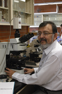 El doctor Raúl Aguilar, investigador del Instituto de Fisiología Celular de la UNAM y miembro de la Academia Mexicana de Ciencias, emplea técnicas moleculares y electrofisiológicas para rastrear los orígenes y la expresión de los ritmos circadianos en el cerebro.