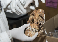 En el cráneo la parte superior de las órbitas es anatómicamente menos pronunciada en las mujeres que en los hombres, dijo la doctora Lilia Escorcia investigadora del Instituto de Investigaciones Antropológicas de la UNAM.