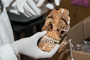 En el cráneo la parte superior de las órbitas es anatómicamente menos pronunciada en las mujeres que en los hombres, dijo la doctora Lilia Escorcia investigadora del Instituto de Investigaciones Antropológicas de la UNAM.