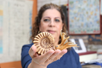 Los fósiles de ammonites son indicadores de la edad relativa de las rocas que se formaron en los habitas marinos. Existieron en los mares desde el Devónico, en el Paleozoico, hace unos 400 millones de años, hasta finales del Cretácico, en el Mesozoico, hace 65 millones de años.