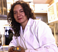 La doctora Vanesa Olivares Illana, investigadora de la Universidad Autónoma de San Luis Potosí, es una de las ganadoras de las Becas para Mujeres en la Ciencia L’Oréal-UNESCO-AMC 2013.