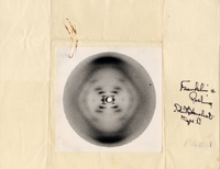 Imagen tomada mediante radiografía de rayos X. La primera imagen de ADN, la foto 51.