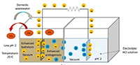 Representación esquemática de la celda de combustible microbiana utilizada para mejorar el tratamiento del agua residual y generar bioenergía.