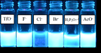 Efecto de la presencia de varios aniones sobre la fluorescencia del quimiosensor.
